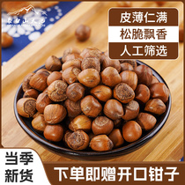 Long white Mountain Sky pool hazelnut Northeastern special production hand pat wild hazelnut nut snacks natural no-add opening device
