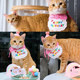猫咪生日装扮宠物口水巾围兜小狗狗过生日蛋糕围脖装饰品围嘴帽子