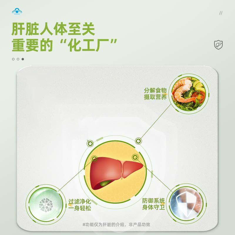 诺特兰德护肝葛根枳椇熬夜应酬胶囊 诺特兰德冠瑞特葛根