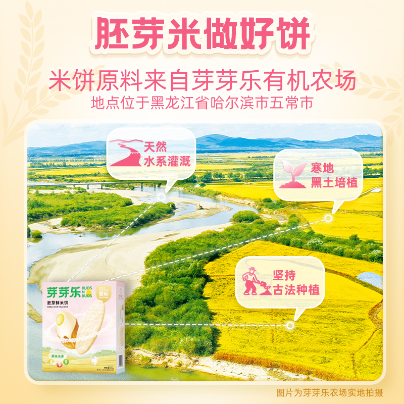 【拍4】芽芽乐婴幼儿米饼泡芙虾饼干