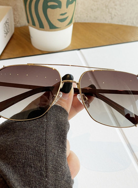 ANICA LUXURY高级偏光渐变墨镜男女新潮超轻金属双梁框开车太阳镜