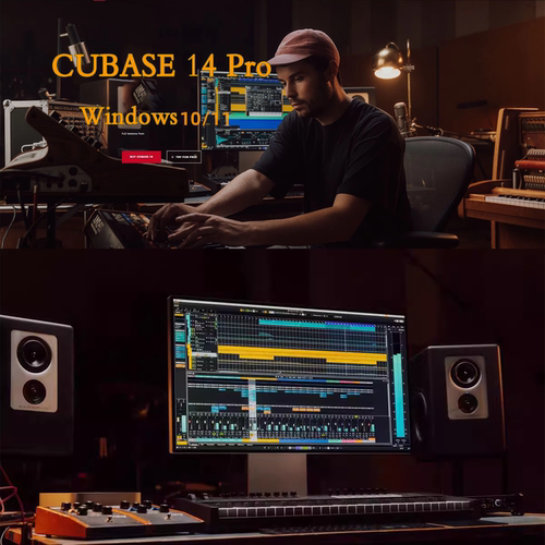 Cubase14/13/12Pro中文版 cubase音源/插件/教程 远程安装Win/Mac - 图2
