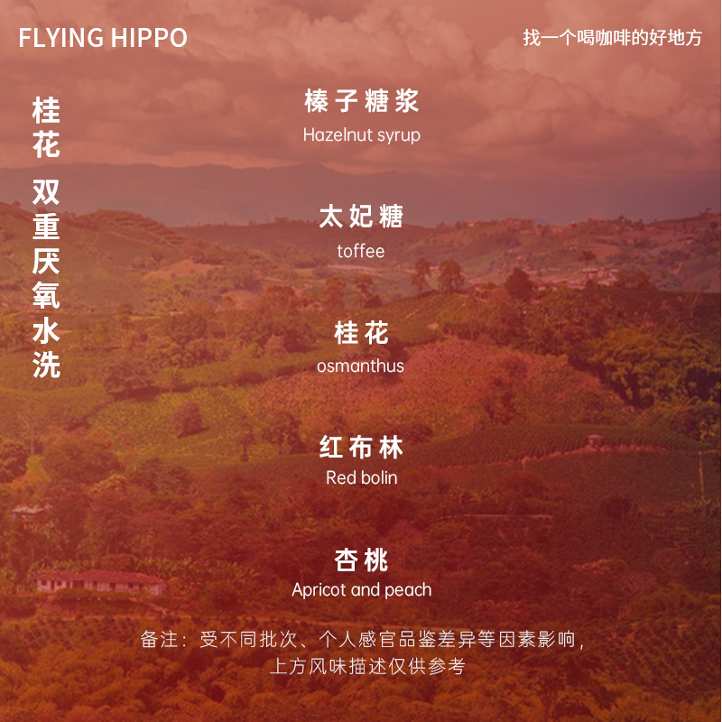 FLYINGHIPPO哥伦比亚天堂庄园粉草莓/樱花/蓝莓/桂花手冲咖啡豆-图3