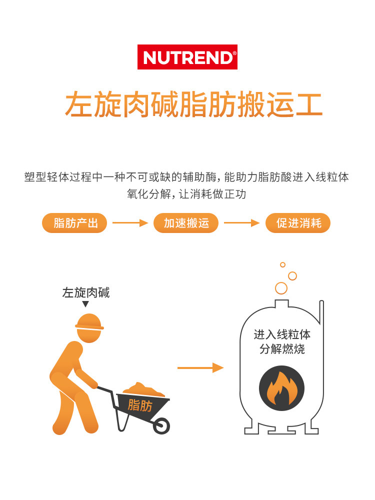 诺特兰德左旋肉碱3000便携小瓶装碱 诺特兰德花零左旋肉碱