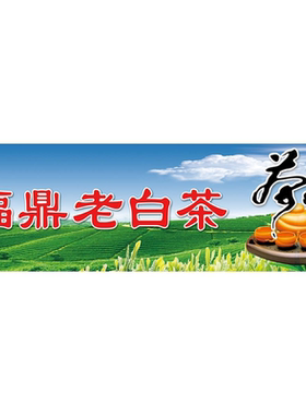 白茶茶叶文化海报展板白茶福鼎老白茶福鼎白茶的功效墙贴墙纸KT板