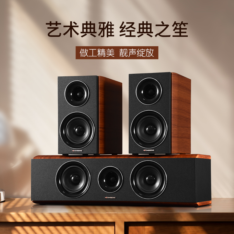 DMSEINC 5.1家庭影院3D立体声中置环绕音响家用客厅无源音箱壁挂-图2