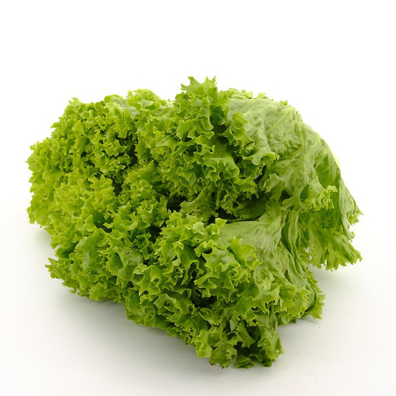 【千牛优福】罗莎绿5-10斤花边生菜花叶新鲜蔬菜沙拉包烤肉食材,淘宝优惠券,粉丝福利购,淘宝优惠卷