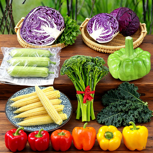 新鲜蔬菜自选组合精品时蔬农家自种基地直发现摘任选5件顺丰包邮 - 图2