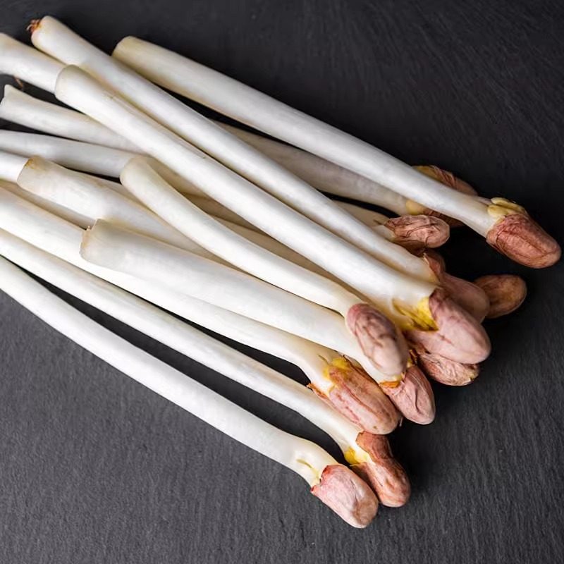 【千牛优福】新鲜花生芽500g/盒食用花生苗蔬菜芽苗长寿芽烫火锅,淘宝优惠券,粉丝福利购,淘宝优惠卷