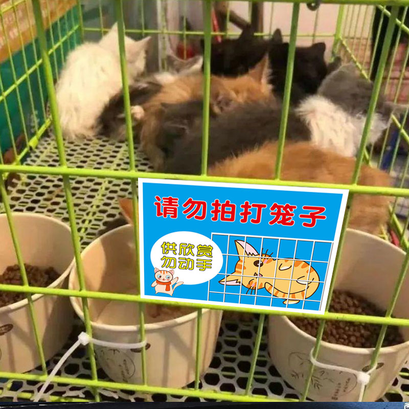 宠物店禁止触摸温馨提示牌贴纸严禁喂食告知牌请勿逗猫逗狗避免误伤警示牌请勿敲打笼子敲打玻璃创意标牌贴-图1