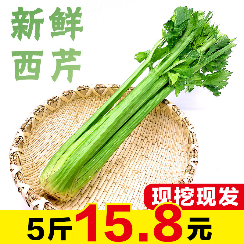 虾郡王 新鲜西芹芹菜 5斤 天猫优惠券折后￥12.8包邮（￥15.8-3）