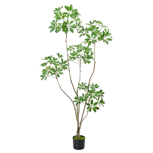 Смоделированные зеленые растения утиные ноги деревянные горшка растения бионические растения Внутренняя гостиная