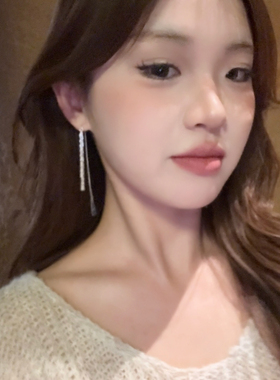 满天星流苏耳线2024新款气质轻奢百搭耳环小众设计感新耳饰女耳钉