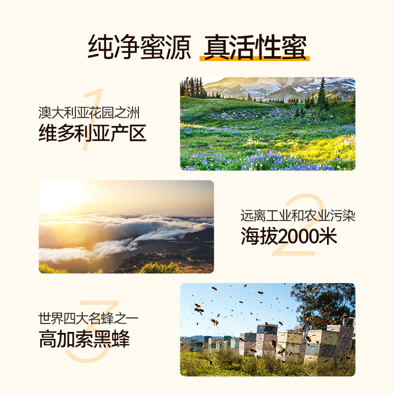 osweet欧斯威特澳洲原装进口蜂蜜 欧斯威特蜂蜜