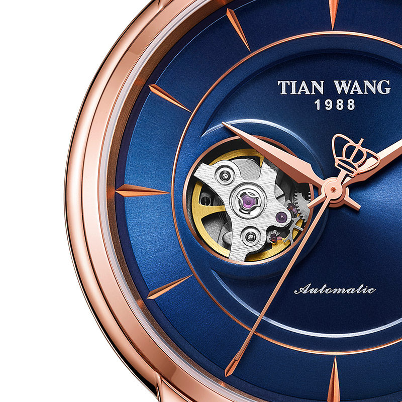 天王男表带真皮机械表休闲运动全自动品牌正品时尚潮流手表5941