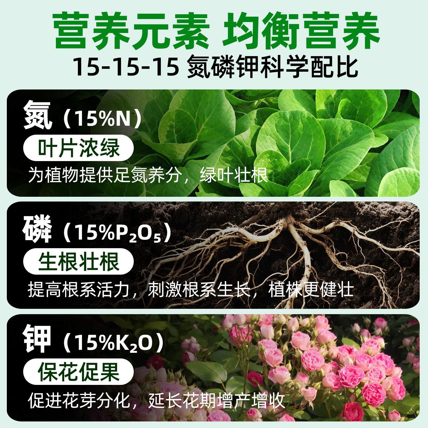 复合肥蔬菜农用种菜养花专用正品家用化肥三元肥果树专用氮磷钾肥,淘宝优惠券,粉丝福利购,淘宝优惠卷