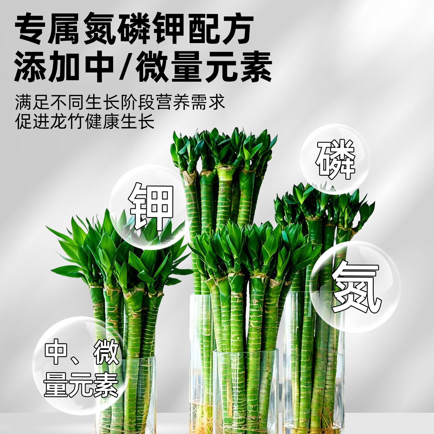 龙竹营养液文昌竹专用肥治叶子发黄水培植物生根水溶液体肥富贵竹,淘宝优惠券,粉丝福利购,淘宝优惠卷