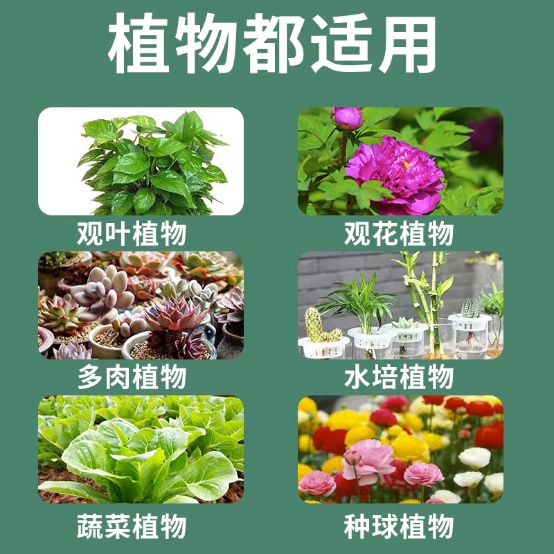 营养液植物通用型花肥绿植花卉发财树富贵竹绿萝水培盆栽家用肥料,淘宝优惠券,粉丝福利购,淘宝优惠卷
