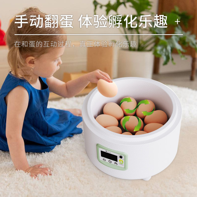 HHD Home Small Incubator Dual Power Supply