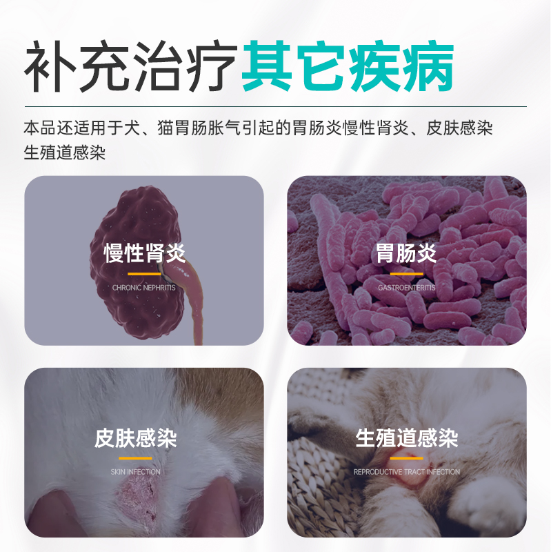 宠医到恩诺沙星猫咪用泌尿系统膀胱消炎药狗尿频尿血尿路感染利尿
