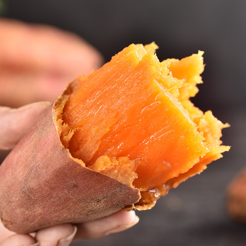 现挖新鲜5斤农家自种板栗小香番薯 百香脆番薯