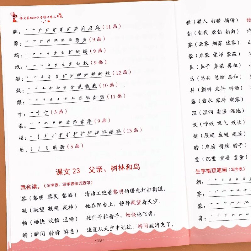 三年级上册生字组词造句阅读本语文基础知识大全生字汉字笔画笔顺词语句子积累手册人教版同步练习册识字表写字表汉语拼音专项训练