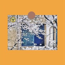 A postcard homemade small card Dongnan University Photo Poster Bookmark hanging painting b6b23a25