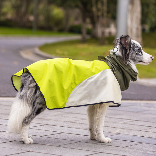 宠物狗狗户外遇水开花雨服小型犬泰迪柯基金毛比熊博美用雨衣雨披-图0