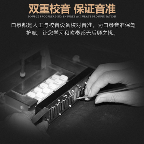 国光口琴专业演奏级28孔重音德国进口音簧24孔复音C调初学者入门 - 图1