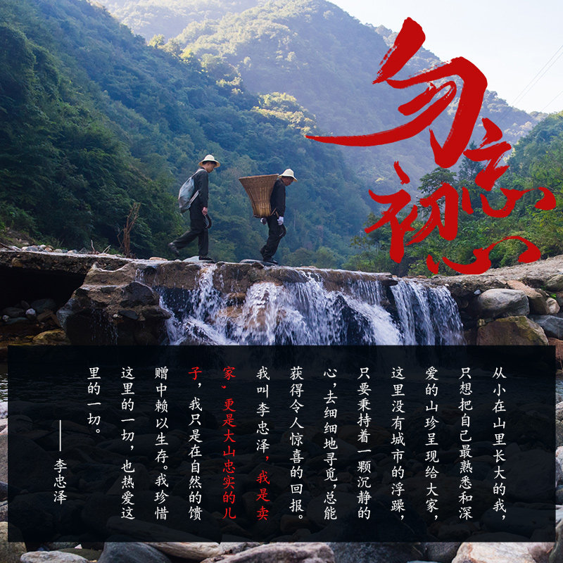 野生蜂巢蜜嚼着吃纯正天然老巢峰蜜 口福坊蜂蜜