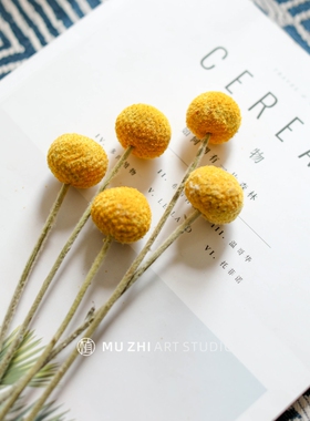 黄金球干花干果天然软装家居金槌
