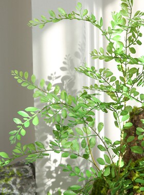 仿真蕨类假绿植橱窗造景配材装饰