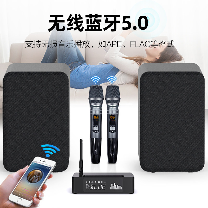  候鸟KTV/卡拉OK音箱