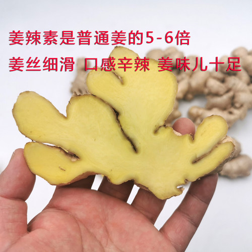 怀姜一等品正宗焦作老怀淮姜糖膏姜月子姜古怀庆府新鲜生老黄嫩姜 - 图1