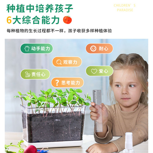 儿童种植小盆栽发芽小植物小花农迷你小农场根系生长小学生观察窗