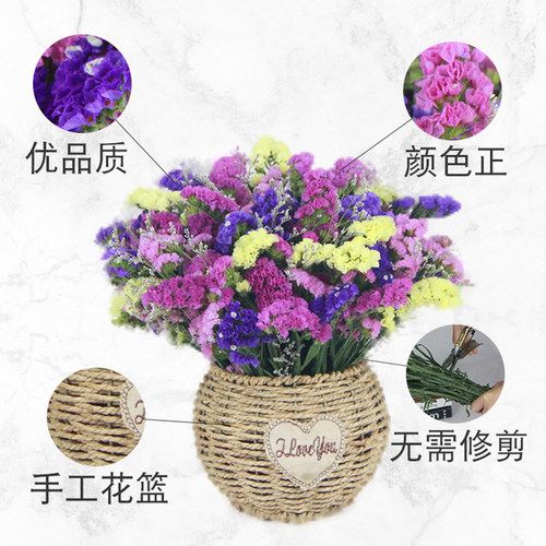 干花摆件客厅摆设真花束装饰放家居的永生云南鲜插瓶满天星勿忘我 - 图1
