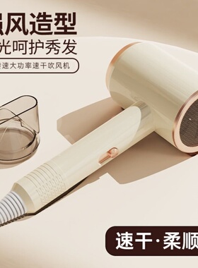 吹风机男士专用家用大功率负离子静音网红电吹风筒护发学生吹头发