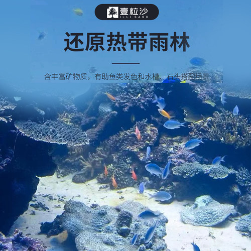 化妆沙水草鱼缸底砂造景沙雨林免洗南美细天然小鹏说水族 - 图3