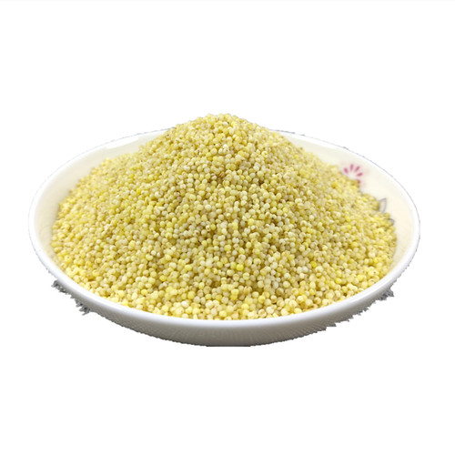 山间谷草 秫米 500g 北秫米 黄米 糯粟 黄糯新货非中药材粉 - 图3