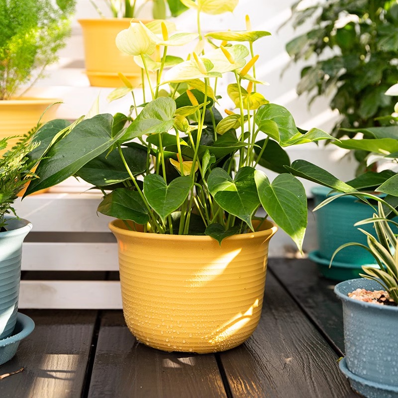 简约花盆树脂仿陶瓷花卉绿植多肉室内外阳台桌面塑料加厚耐用花盆 - 图1