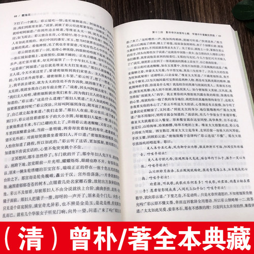 【完整版无删减】孽海花书籍正版包邮足本典藏原版原著曾朴全35回 中国古典文学小说明清小说清四大谴责 北方文艺出版社 - 图1