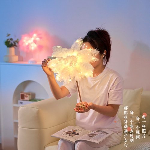羽毛台灯ins少女卧室床头酒吧KTV奶茶店北欧鸵鸟毛直播间网红彩灯 - 图3
