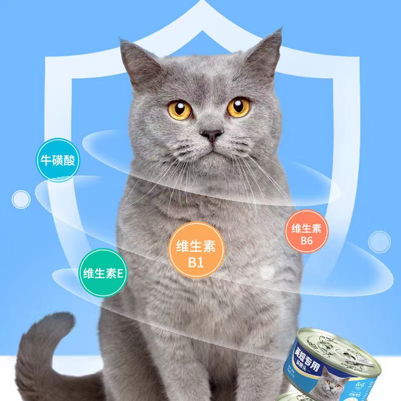 菲喵猫罐头海洋鱼罐头全猫通用主粮湿粮营养品原肉原汤补水包邮 - 图0