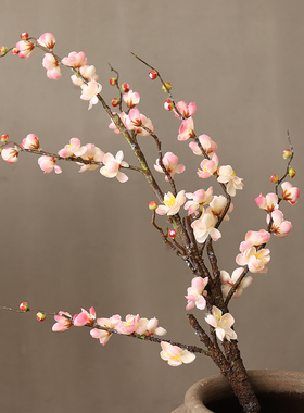 落地傲雪腊梅仿真梅花禅意树枝