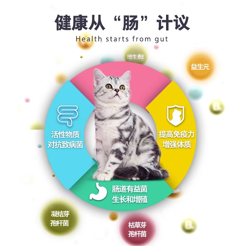 卫仕益生菌猫咪专用肠胃调理呕吐猫力肠片肠胃宝便秘拉稀猫用卫士 - 图2