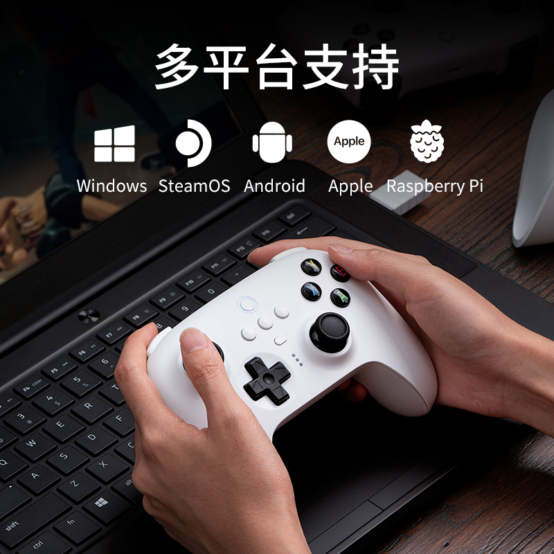 八位堂猎户座2.4G真无线手柄PC版 震动连发宏Win10电脑Steam安卓苹果NS Switch游戏机通用带充电底座双人成行