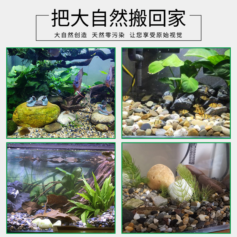 鱼缸造景装饰底砂沙石头子铺底天然原生溪流乌龟缸石水族箱10斤装 - 图2