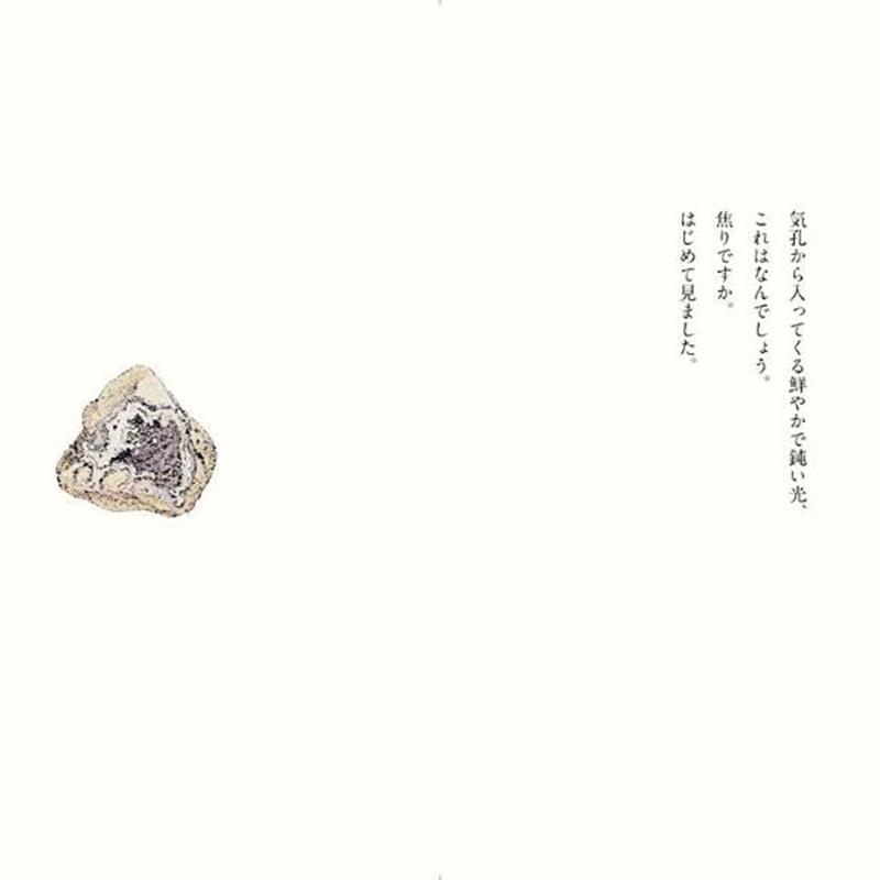 现货 进口日文 漫画 宝石之国 宝石の国(13)特装版 付诗集 - 图1