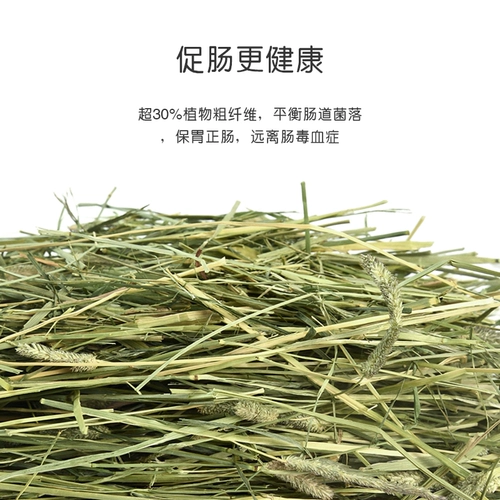 Он подходит для кроликов для корма для корма с сушкой травой, голландской свинины -соседки кролика