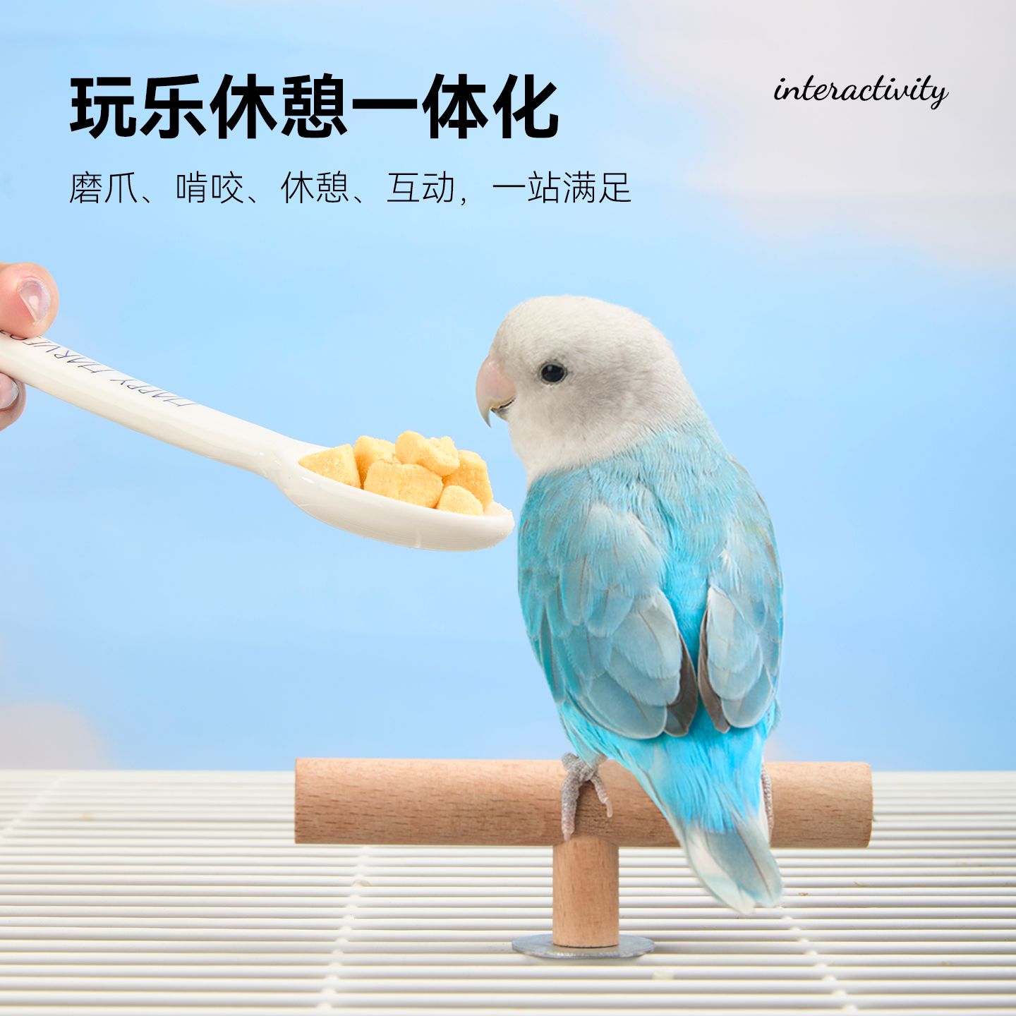 它适站棒牡丹虎皮玄凤鹦鹉小鸟玩具用品磨喙磨牙啃咬攀爬鸟笼适配,淘宝优惠券,粉丝福利购,淘宝优惠卷